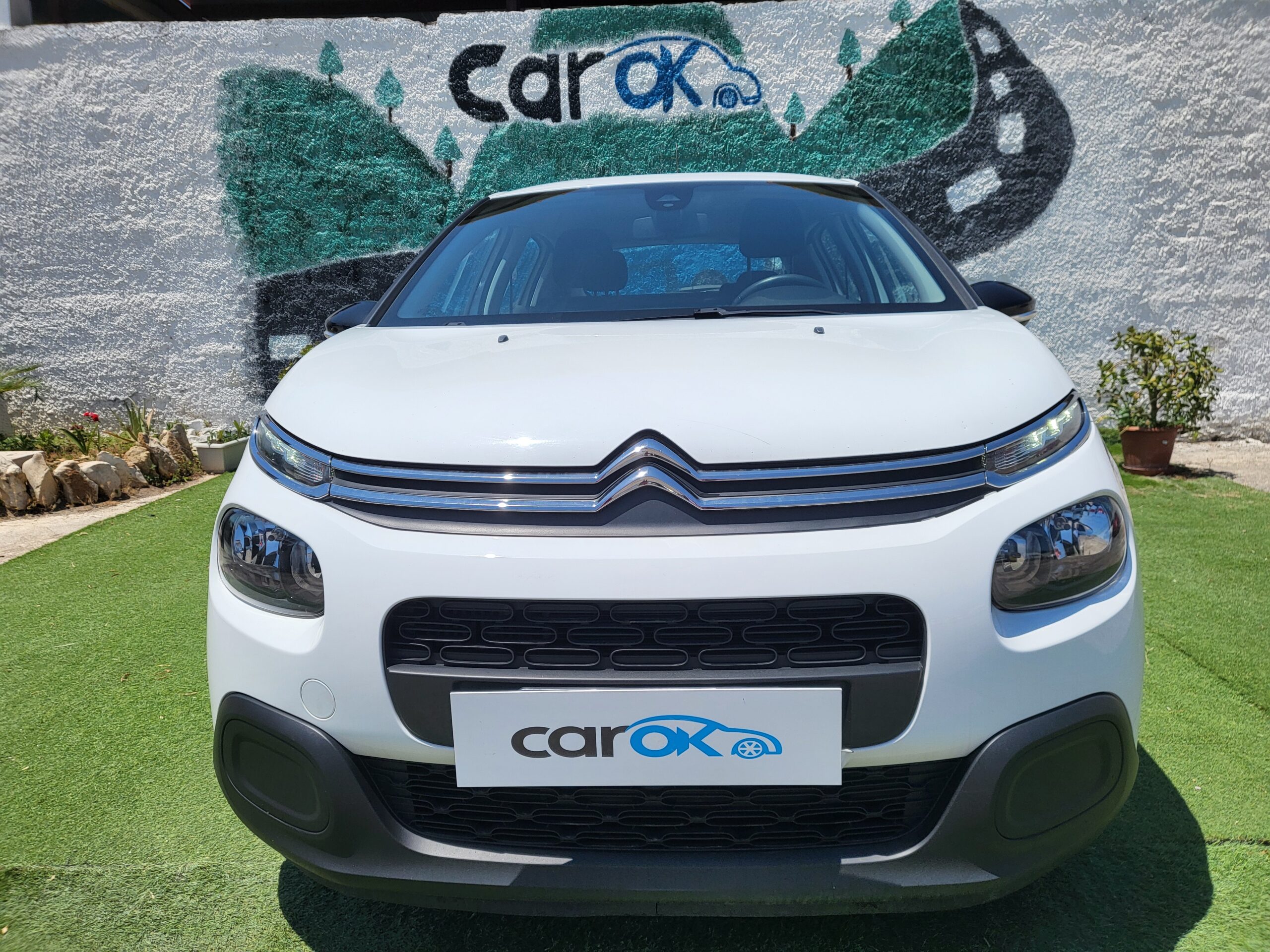 
								CITROEN C3 1.5 BlueHDI N1 completo									